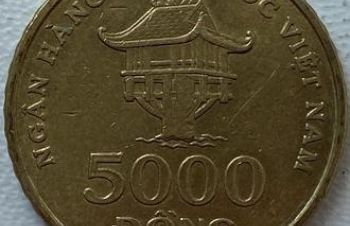 Вьетнам 5000 донг 2003 год ф4, Ковель