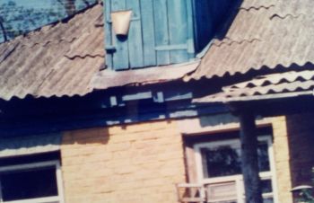 Дом в селе Флярковка ( Каменский р-он, Черкасская обл )- продается, Каменка
