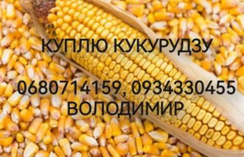 Купуємо кукурудзу та відходи кукурудзи, Киев