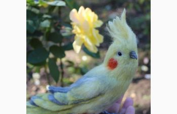 Корелла попугай валяная игрушка хендмэйд интерьерная ручной работы папуга корелла сувенир, Одесса