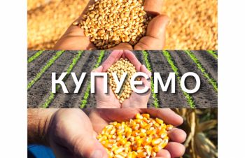 Купуємо пшеницю, сою, кукурудзу, Киев