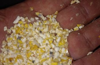 Побічний продукт кукурудзи, зерновідходи, Сумы